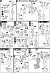 HG Gundam Amazing Red Warrior Construction Manual & Color Guide