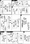 HG Try Build Burning Gundam Construction Manual & Color Guide
