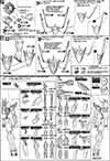 HG Try Build Burning Gundam Construction Manual & Color Guide