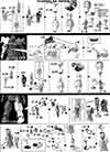 HG Space Jahannam Klim Nick Use Construction Manual & Color Guide