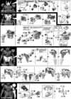 HG Gaeon Construction Manual & Color Guide