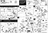 1/350 Space Battleship Yamato Construction Manual