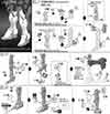 RG Wing Gundam Zero EW Construction Manual & Color Guide