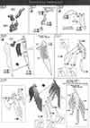 RG Wing Gundam Zero EW Construction Manual & Color Guide
