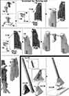 1/144 HG Elf Bullock Construction Manual & Color Guide