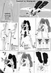 1/144 HG Elf Bullock Construction Manual & Color Guide