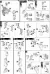 HG Hi Nu Gundam Vrabe Construction Manual & Color Guide