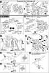 SD Star Winning Gundam Construction Manual & Color Guide