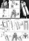 HG Mack Knife Construction Manual & Color Guide