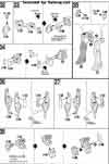 1/144 High Grade V-Dash Gundam Construction Manual & Color Guide