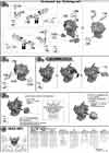MG Gundam Exia Dark Matter Construction Manual & Color Guide