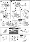 1/72 UCR-10/L Agni Construction Manual & Color Guide