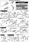 1/72 UCR-10/L Agni Construction Manual & Color Guide