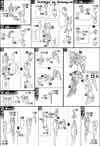 HG Wing Gundam Zero Honoo Construction Manual & Color Guide