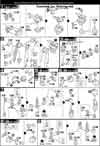 HG Crossbone Gundam X1 Full Cloth Type.GBFT Construction Manual & Color Guide