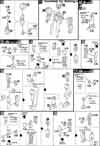 HG Crossbone Gundam X1 Full Cloth Type.GBFT Construction Manual & Color Guide