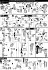 HG Gundam The End Construction Manual & Color Guide