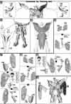HG Gundam The End Construction Manual & Color Guide