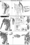 HG Gundam The End Construction Manual & Color Guide
