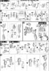 HG Denial Gundam Construction Manual & Color Guide