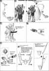 HG Denial Gundam Construction Manual & Color Guide