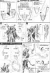 HG Denial Gundam Construction Manual & Color Guide