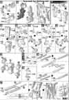 HG Gundam Tyron 3 Construction Manual & Color Guide