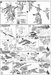 HG Gundam Tyron 3 Construction Manual & Color Guide