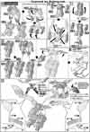 HG Gundam Tyron 3 Construction Manual & Color Guide