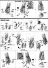 HG Zaku II High Mobility Type The Origin Construction Manual & Color Guide