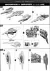 RG OO Raiser Construction Manual & Color Guide
