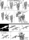 Space Back Pack for Gundam G-Self Construction Manual & Color Guide