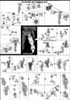 HG Gastima Construction Manual & Color Guide