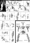 HG Gastima Construction Manual & Color Guide
