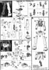 HG RX-78-2 Gundam (Revive) Construction Manual & Color Guide