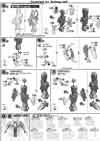 MG Gundam Fenice Rinascita Construction Manual & Color Guide