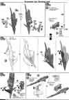 MG Gundam Fenice Rinascita Construction Manual & Color Guide
