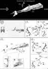1/12 Scout Trooper & Speeder Bike Construction Manual & Color Guide
