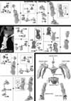 HG Kabakali Construction Manual & Color Guide