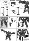 HG Kabakali Construction Manual & Color Guide