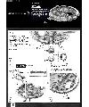 1/144 Millennium Falcon (Force Awakens) Construction Manual & Color Guide