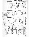 1/100 Graze Standard Type/Commander Type Construction Manual & Color Guide