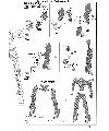 1/100 Graze Standard Type/Commander Type Construction Manual & Color Guide