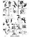 1/100 Gundam Gusion / Gundam Gusion Rebake Construction Manual & Color Guide