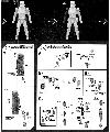 1/12 First Order Storm Trooper Construction Manual & Color Guide