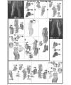 HG Graze Standard Type/Commander Type Construction Manual & Color Guide