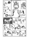 HG Gundam Gusion Rebake English Manual & Color Guide 1/144 High Grade Iron Blooded Orphans English Translation