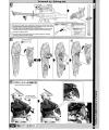PG Perfect Grade 1/60 Gundam Astray Red Frame English Manual & Color Guide Bandai Gundam Seed Lowe Gule