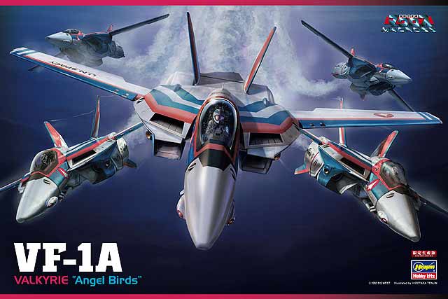 Hasegawa 1/48 ACE COMBAT 7 SKIES UNKNOWN F-15C EAGLE STRIDER 2 Model kit  SP566