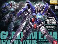 Bandai MG 1/100 Gundam Exia Ignition Mode English Manual and Color Guide